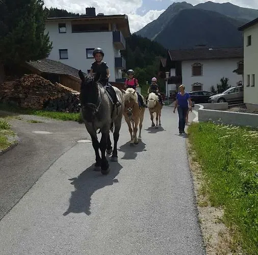 Pferdehof Bachegg Tobadill